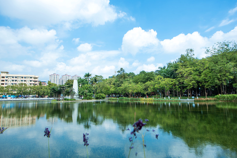 廣西大學 碧雲湖秋景（樊道亮/攝）