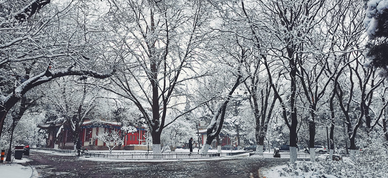 北京大學 新年初雪翩躚而至（崔喆/攝）