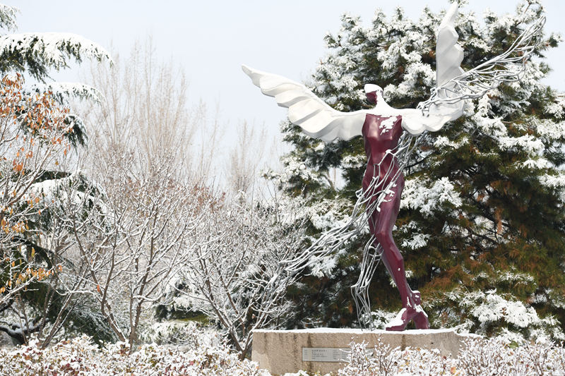 中國農業大學 飛人戲雪（歐陽永志/攝）