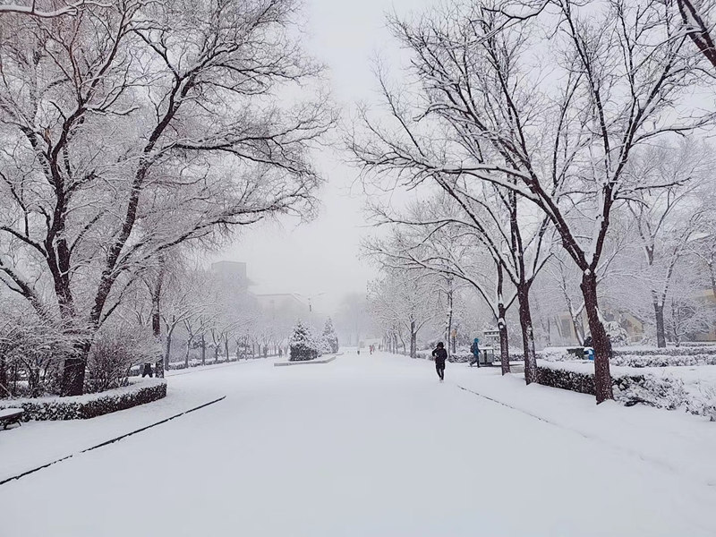 山西財經大學 大雪過后的校園（學校供圖）