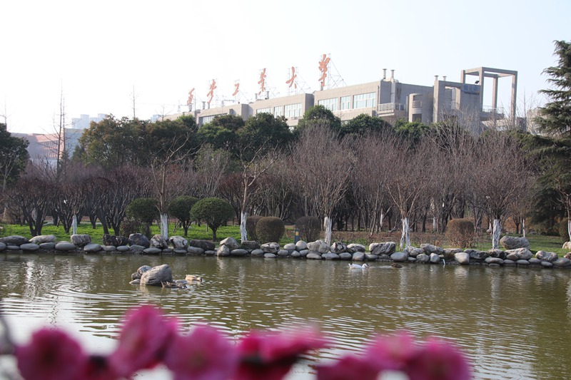 西安工業大學 春江水暖鴨先知（騫軍榮  支龍華/攝）