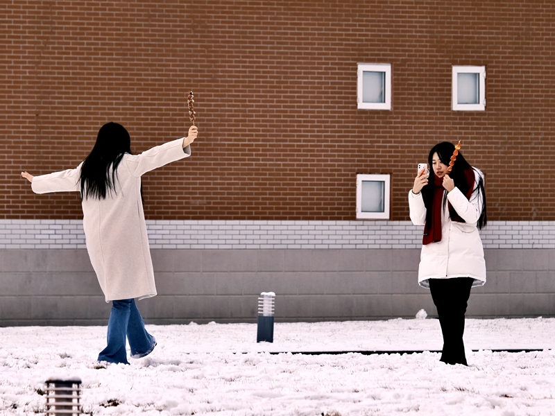 北京農學院：雪后天晴，同學們用鏡頭記錄美好時刻。校方供圖