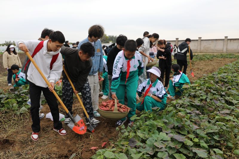 北京農學院舉行“大手拉小手，共繪豐收景”秋收節活動。校方供圖