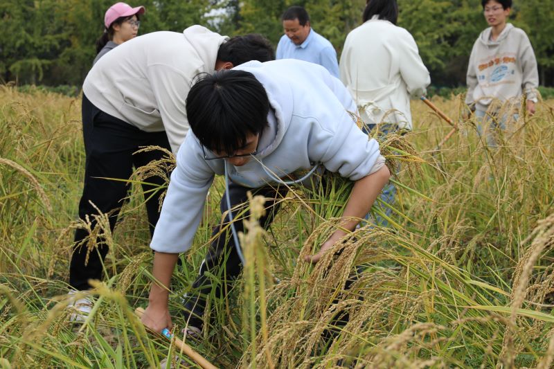 北京農學院舉行“大手拉小手，共繪豐收景”秋收節活動。校方供圖