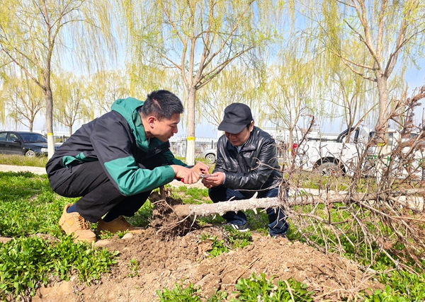 2024年4月11日，张卓文为博士研究生张平现场讲授专业知识。