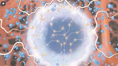 編程的免疫細胞注入體內后，能順利導航到目標位置，摧毀正在生長的腫瘤。圖片來源：美國加州大學舊金山分校
