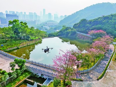 無人機在深圳塘朗山郊野公園裡巡檢。新華社發